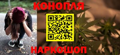 прущие грибы Апшеронск