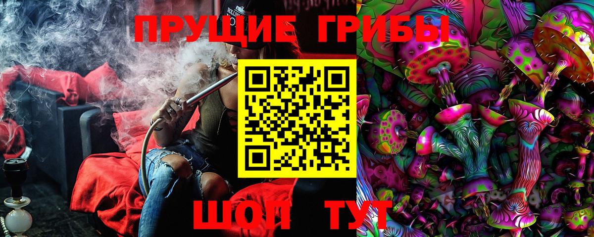 Белгород  Псилоцибиновые грибы прущие грибы  Вход с VPN 