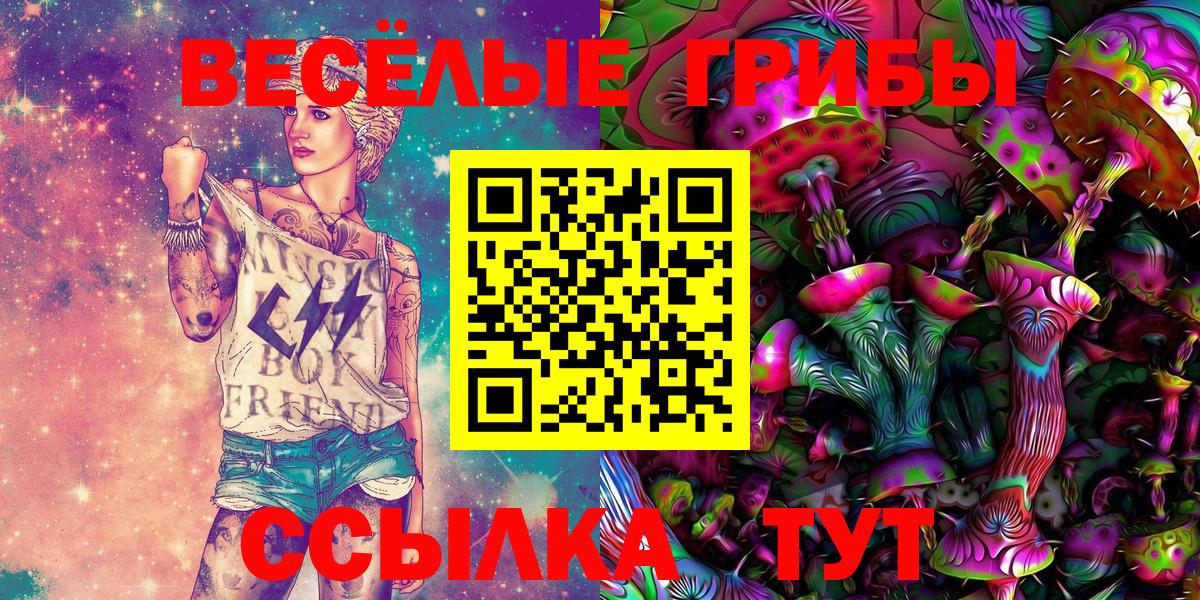 Галлюциногенные грибы Psilocybe Белгород